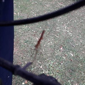 Meet your Posher, Conner